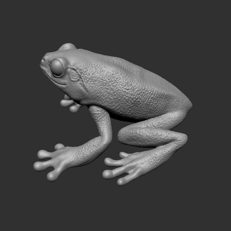 Frog 3d model