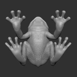 Frog 3d model