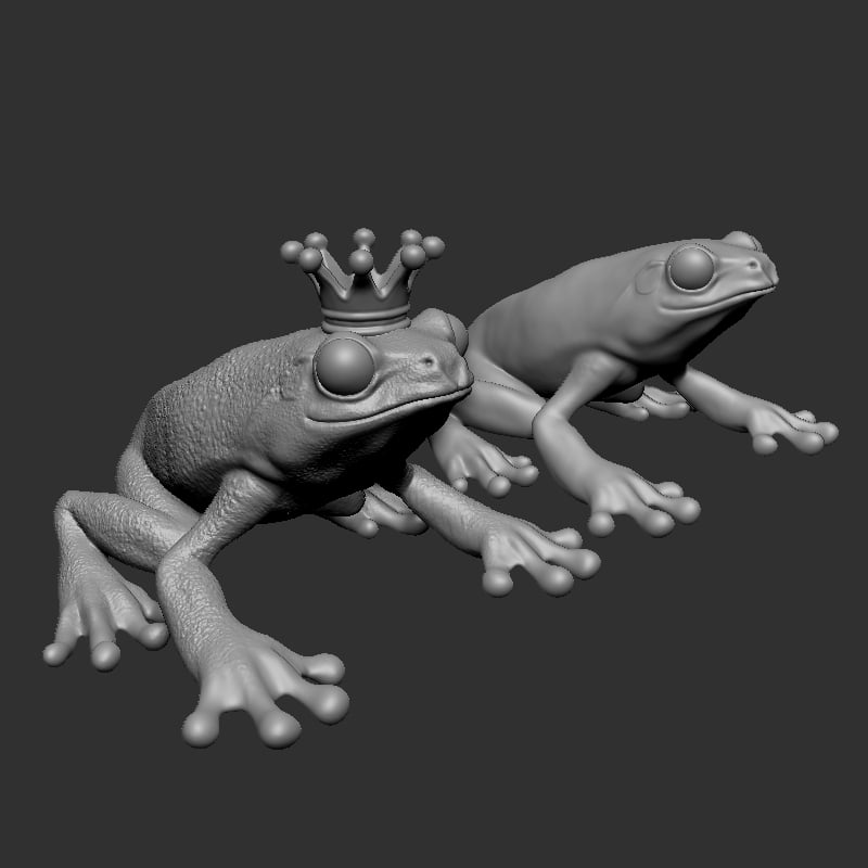 Frog 3d model