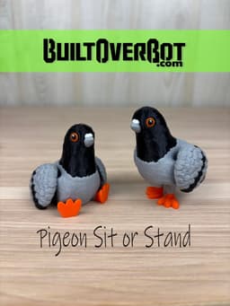 Pigeon Sit or Stand 3d model