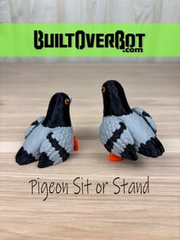 Pigeon Sit or Stand 3d model