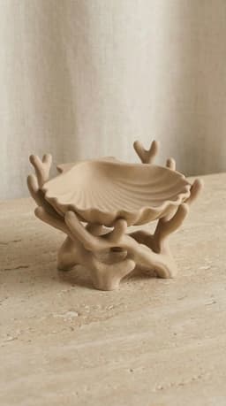 Biomorphic Shell & Coral Jewelry Catch-all | Sculptural Home Decor 3d model