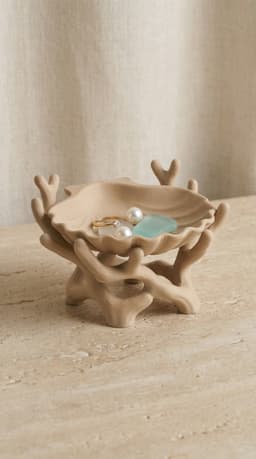 Biomorphic Shell & Coral Jewelry Catch-all | Sculptural Home Decor 3d model