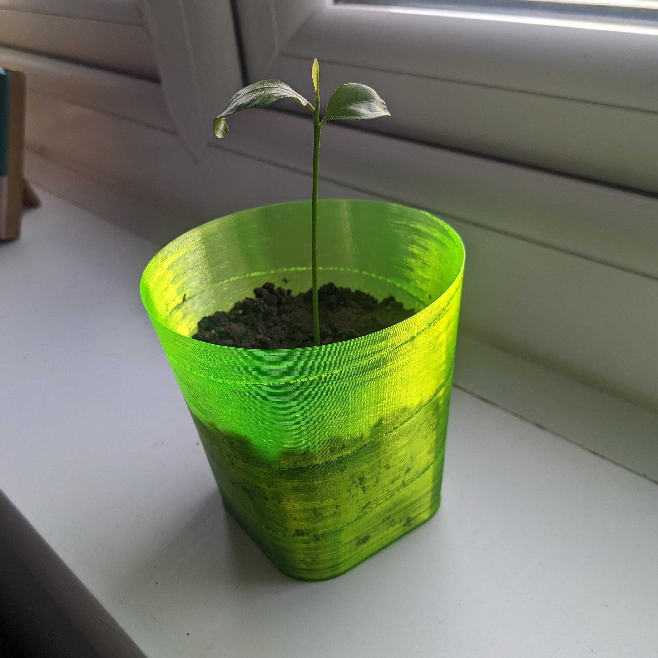 Seedling Planter - 14 grams 3d model