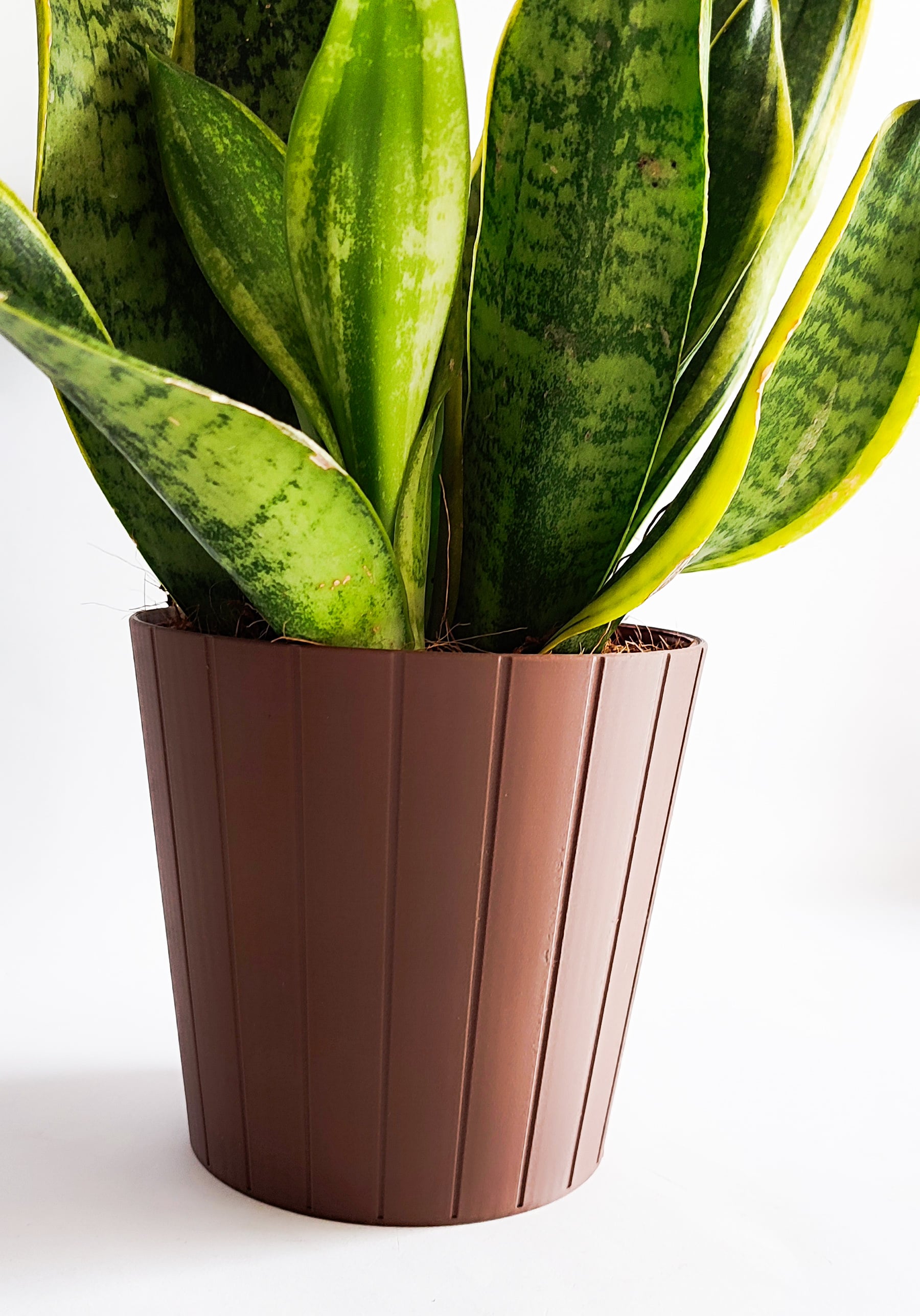 VASE 3d model