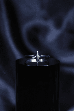 Star Ring 3d model