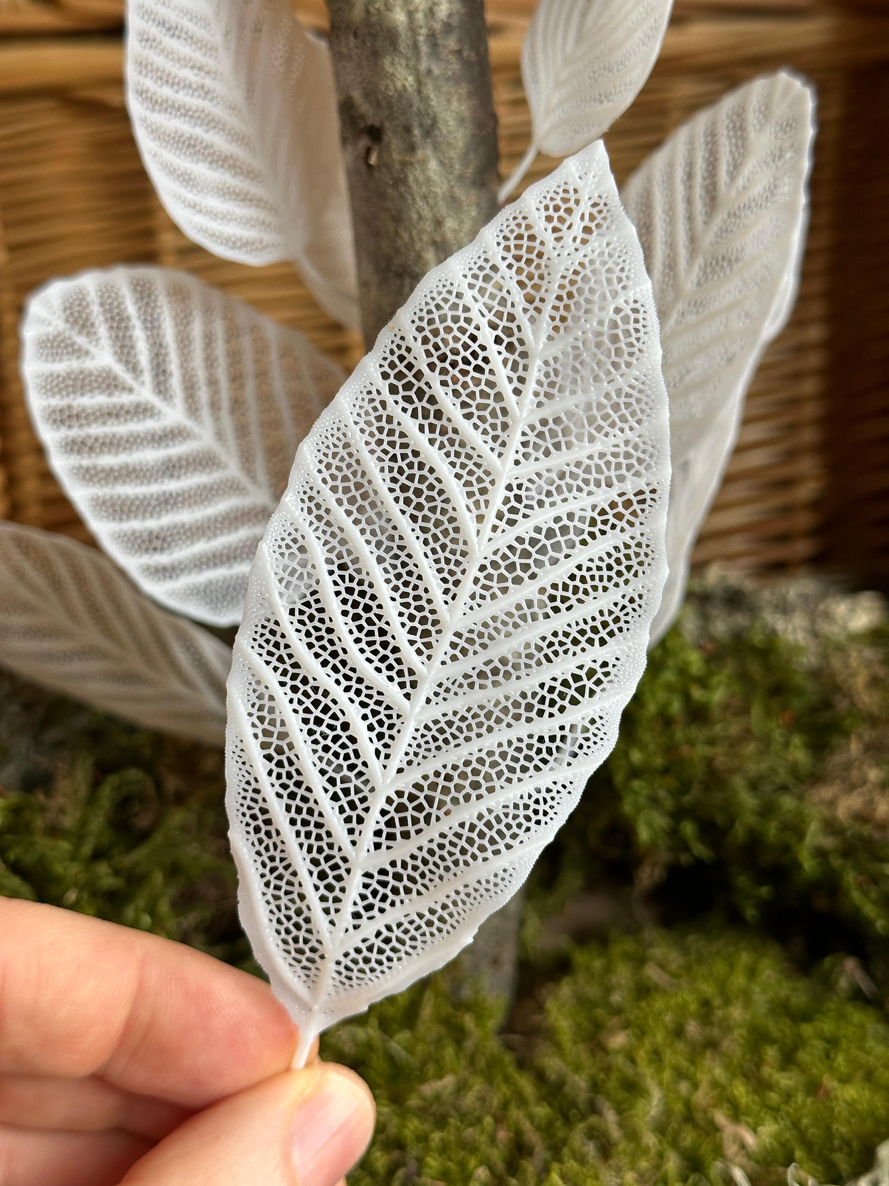 Skeleton Leaves - Willow 3d model