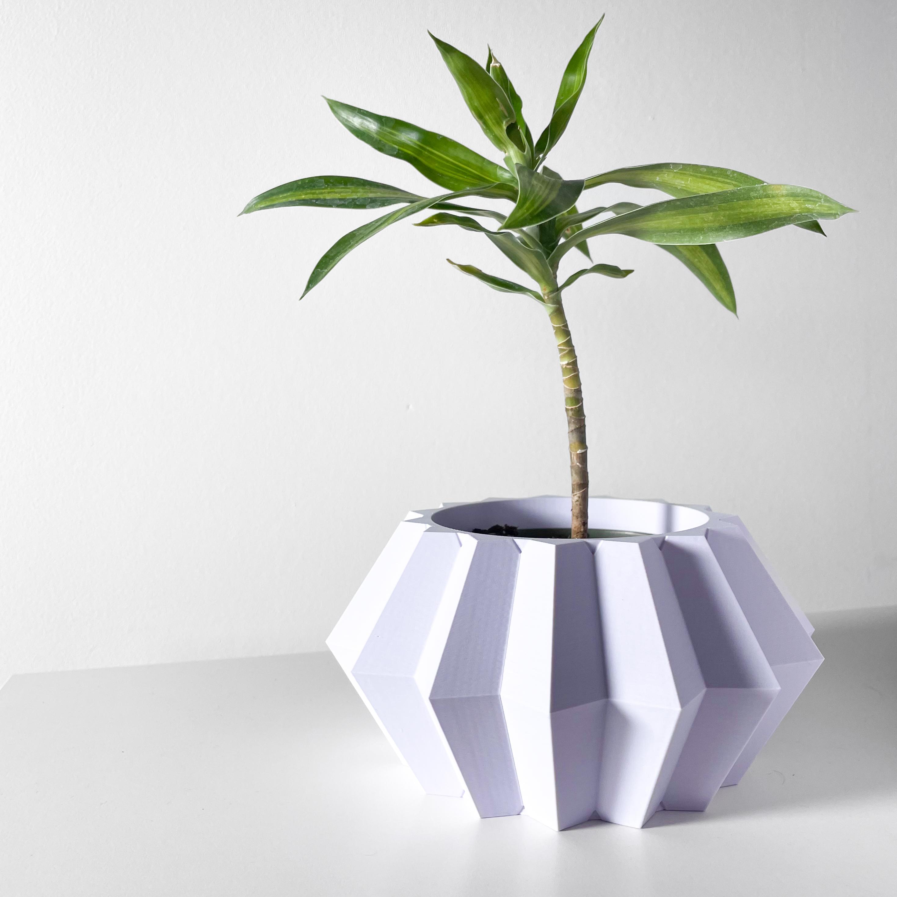 The Jun Planter Pot with Drainage Tray & Stand: Modern and Unique Home Decor for Plants 3d model