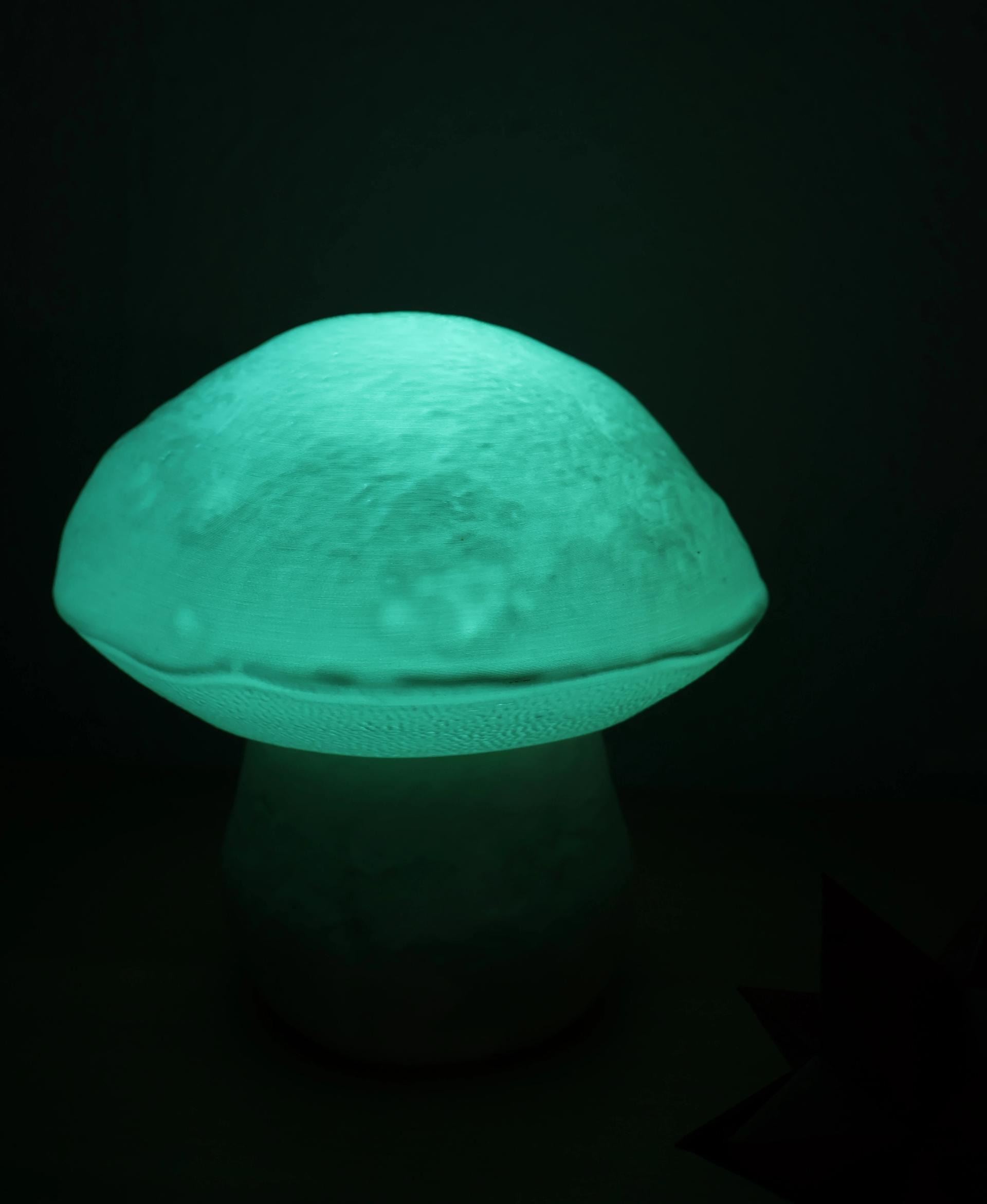 Table lamp “Edulis Fungus” organic - Lamp turned out awesome!
Well, I found out how to upload videos :] - 3d model