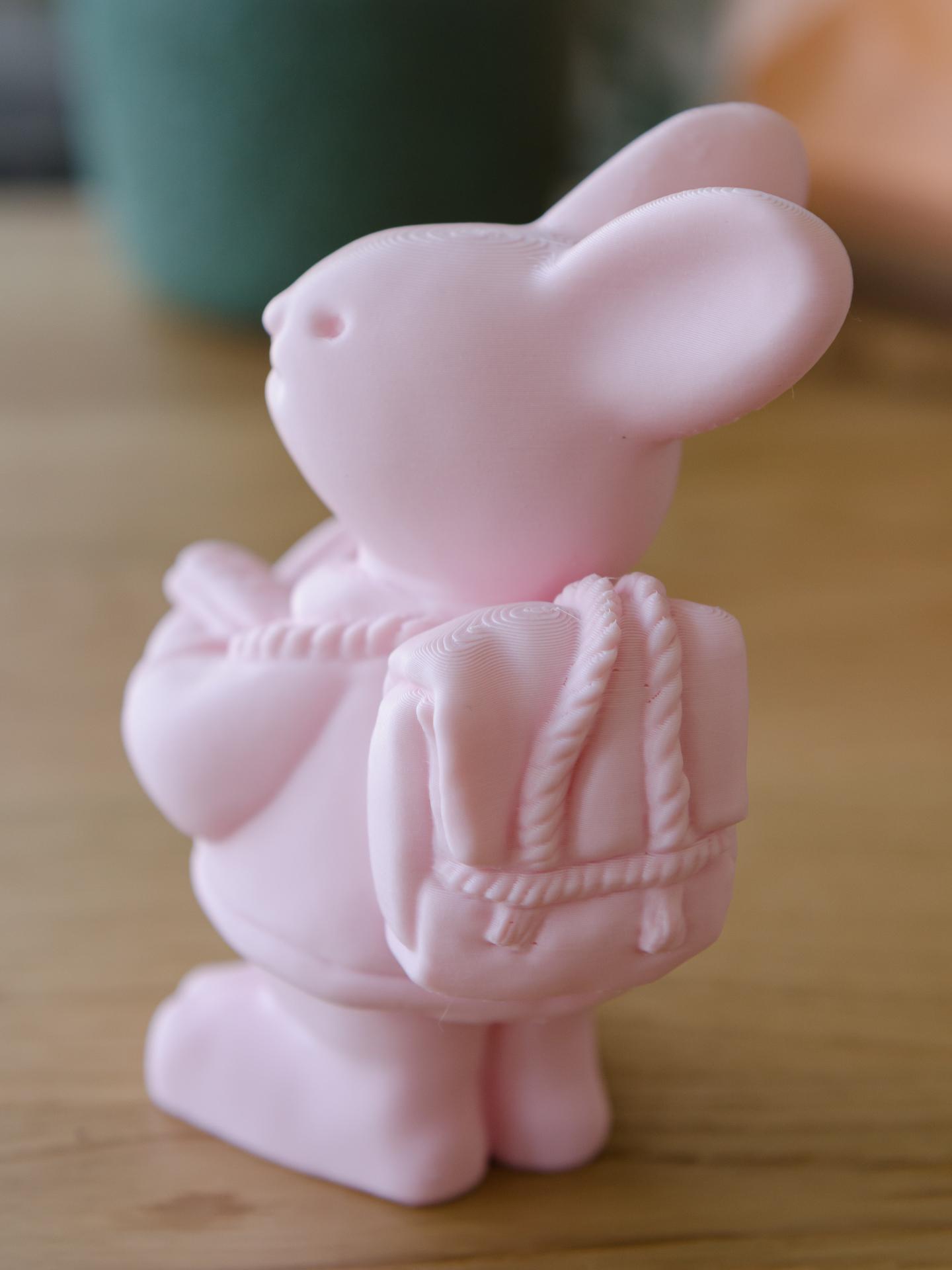 Book Lover Bunny (2) - printed on modified Prusa i3 Mk3 with Polymaker PolyTerra PLA "candy" - 3d model