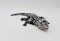 Flexi Argentine Black and White Tegu 3d model