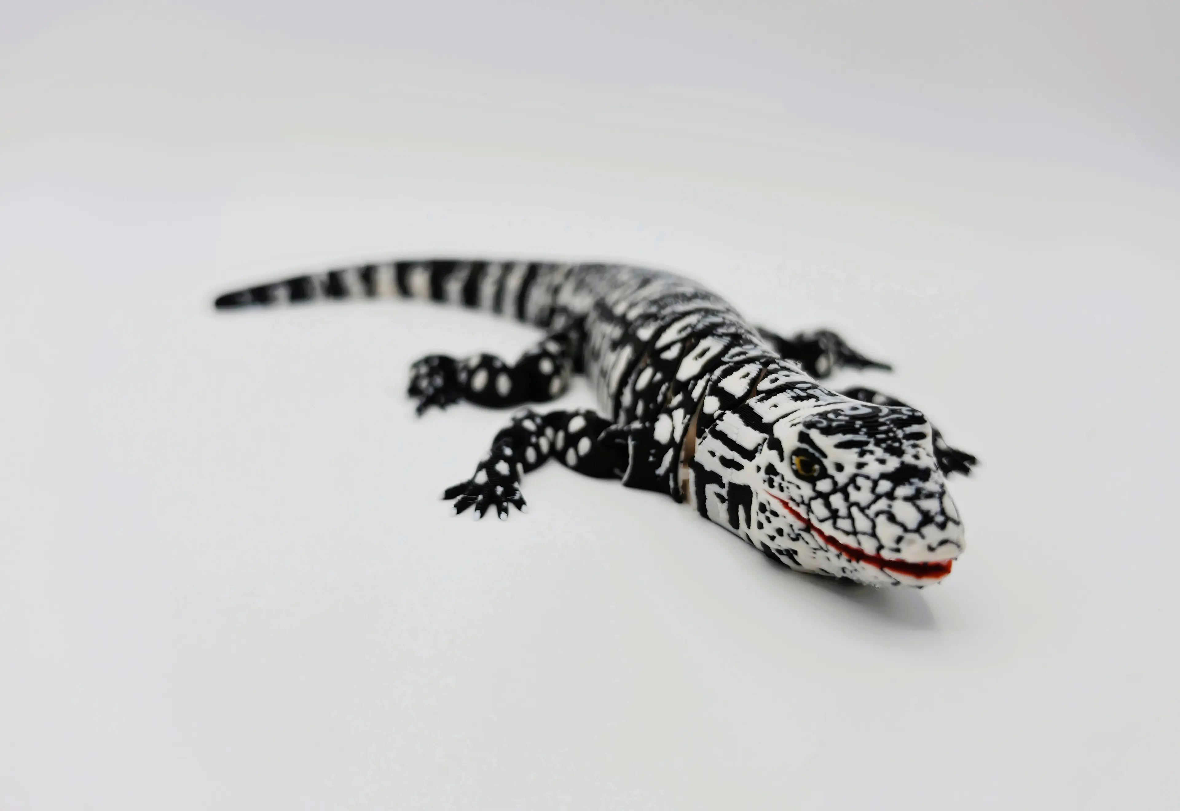 Flexi Argentine Black and White Tegu 3d model