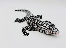 Flexi Argentine Black and White Tegu 3d model