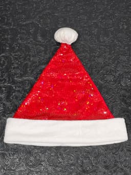 Santa Claus Hat 3d model