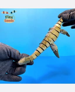 Flexi Plesiosaurus (print-in-placeiosaurus) 3d model