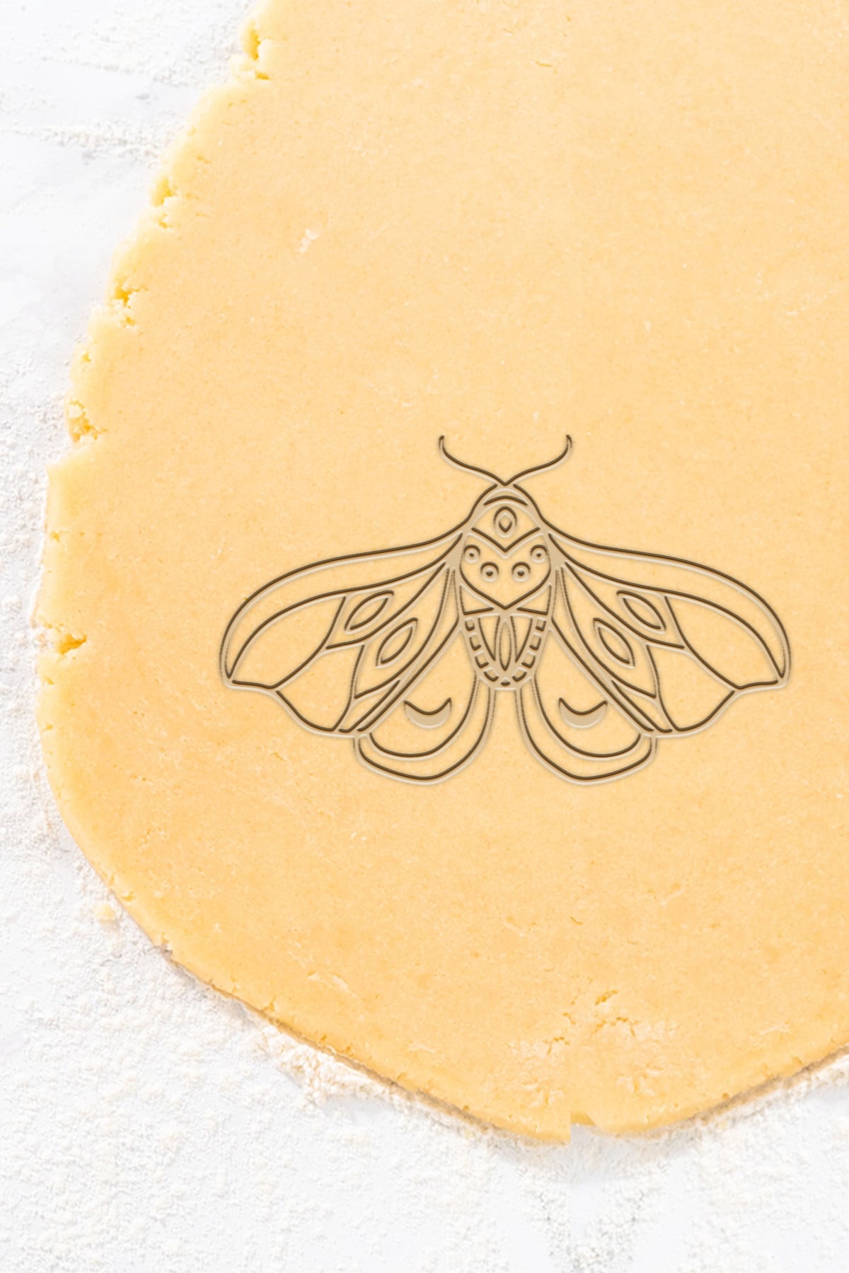 Fly Cookie Cutter, Biscuit Cutter 3d model