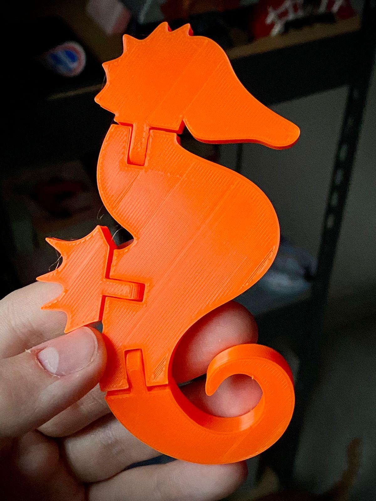 Flexi Print-in-Place Series - Sea Horse 3d model