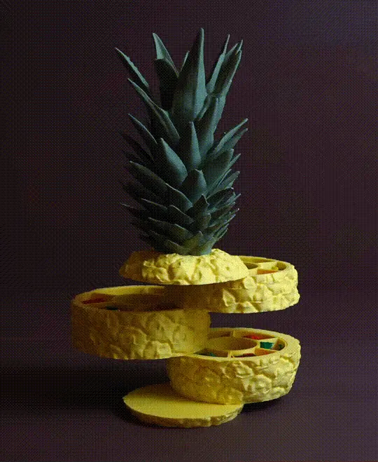Sliced Pineapple 3d model