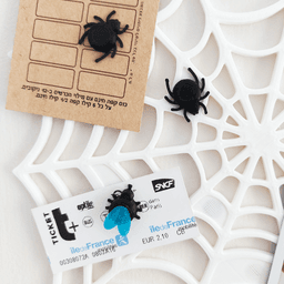 Spiderweb Picture Memory Board 3d model