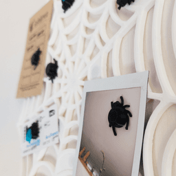 Spiderweb Picture Memory Board 3d model