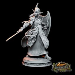Siln_Tanadu-Elf_Cleric 3d model