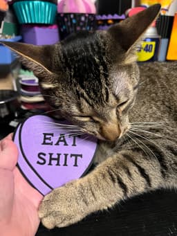 Eat Shit conversation heart art 3d model