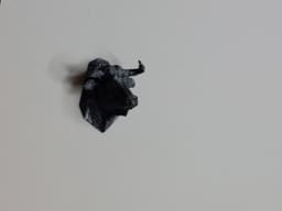 Low Poly Bull Head Fridge Magnet 3d model