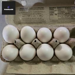 EggWithLegs_PrintStart3D.stl 3d model