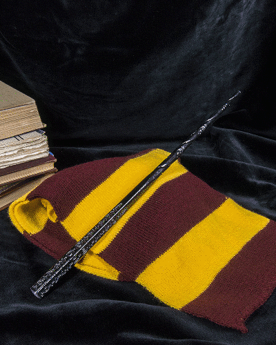 Sirius Black’s Wand - Harry Potter 3d model