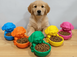 Happy Puppy Bowl, Perfect Pet Bowl! 3d model