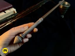 Hermione Granger's 1st wand 3d model