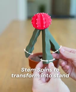Phoney Cactus - Moon Cactus Phone Stand 3d model