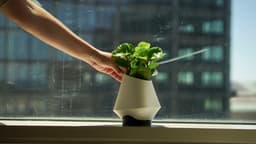 Orea Planter 3d model