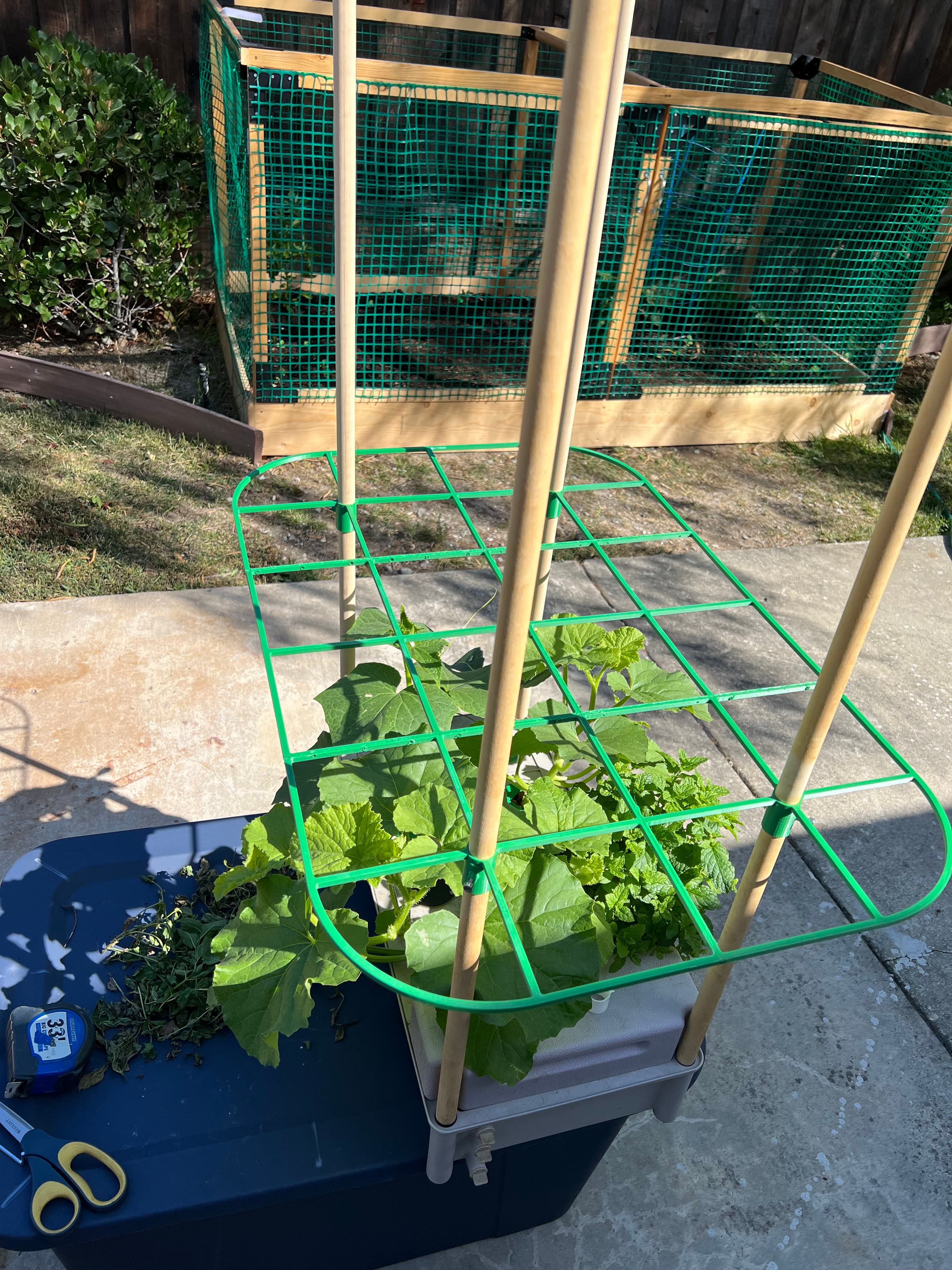 Lattice for hydro grow box. 3d model