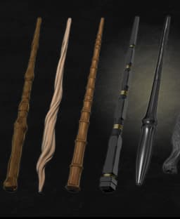 Custom wand set 3d model