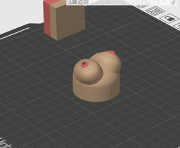 NSFW Milk Jug Jugs 3d model