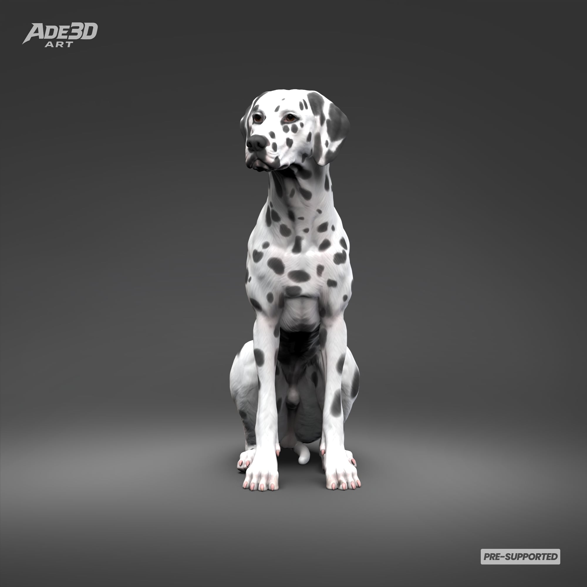 Dalmatian 3D Print Model Pose 06 3d model