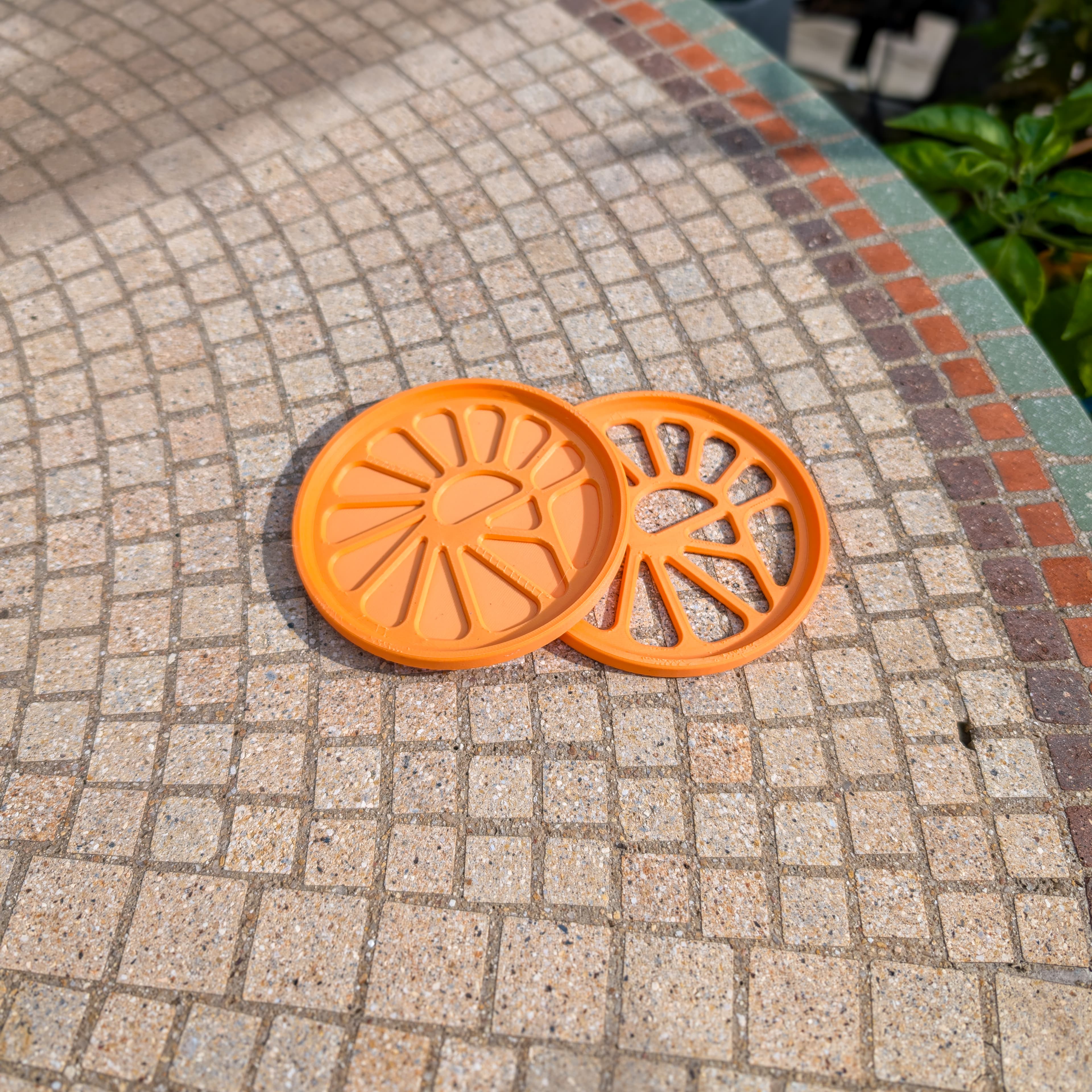 SeaShell Coasters 3d model