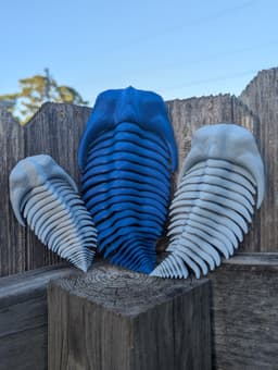 Articulated Trilobite 3d model
