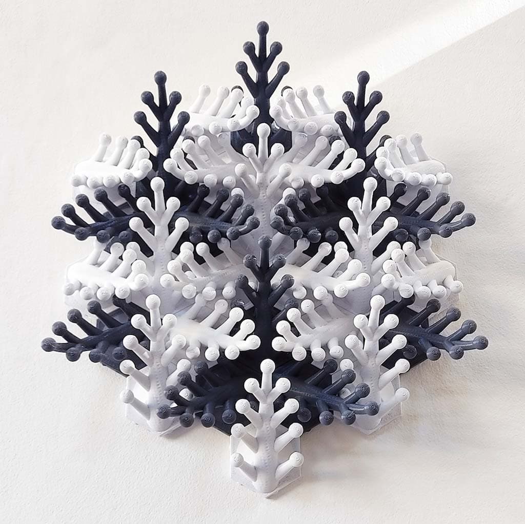 Coral Snowflake Wall Sculpture 3d model
