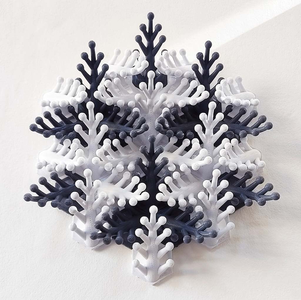 Coral Snowflake Wall Sculpture 3d model