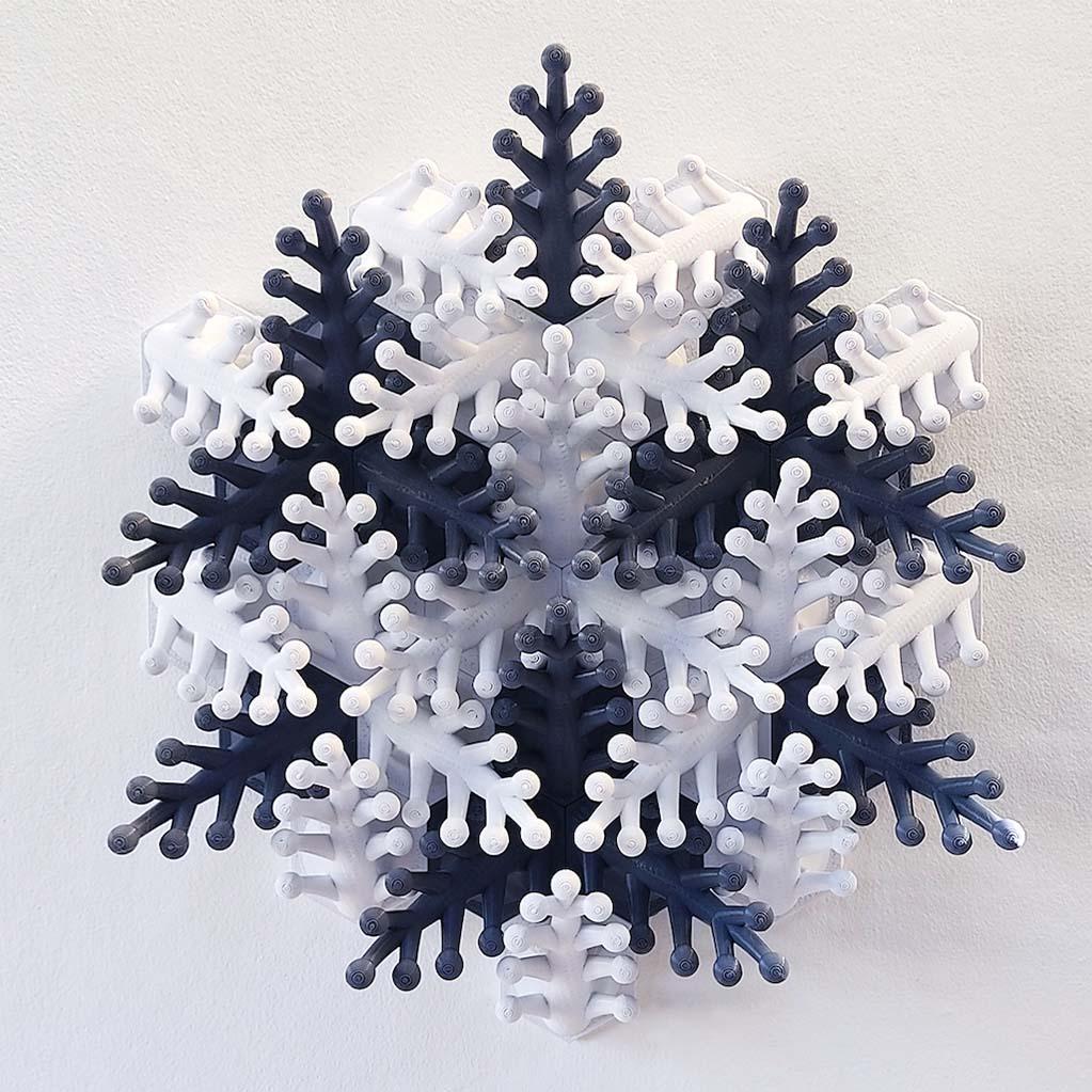 Coral Snowflake Wall Sculpture 3d model