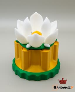 Magnolia Box 3d model