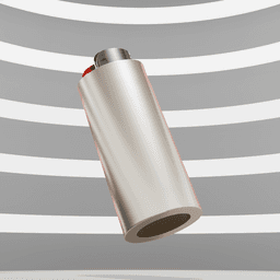 Lighter case FAHHHH (BIC J6 Maxi) 3d model