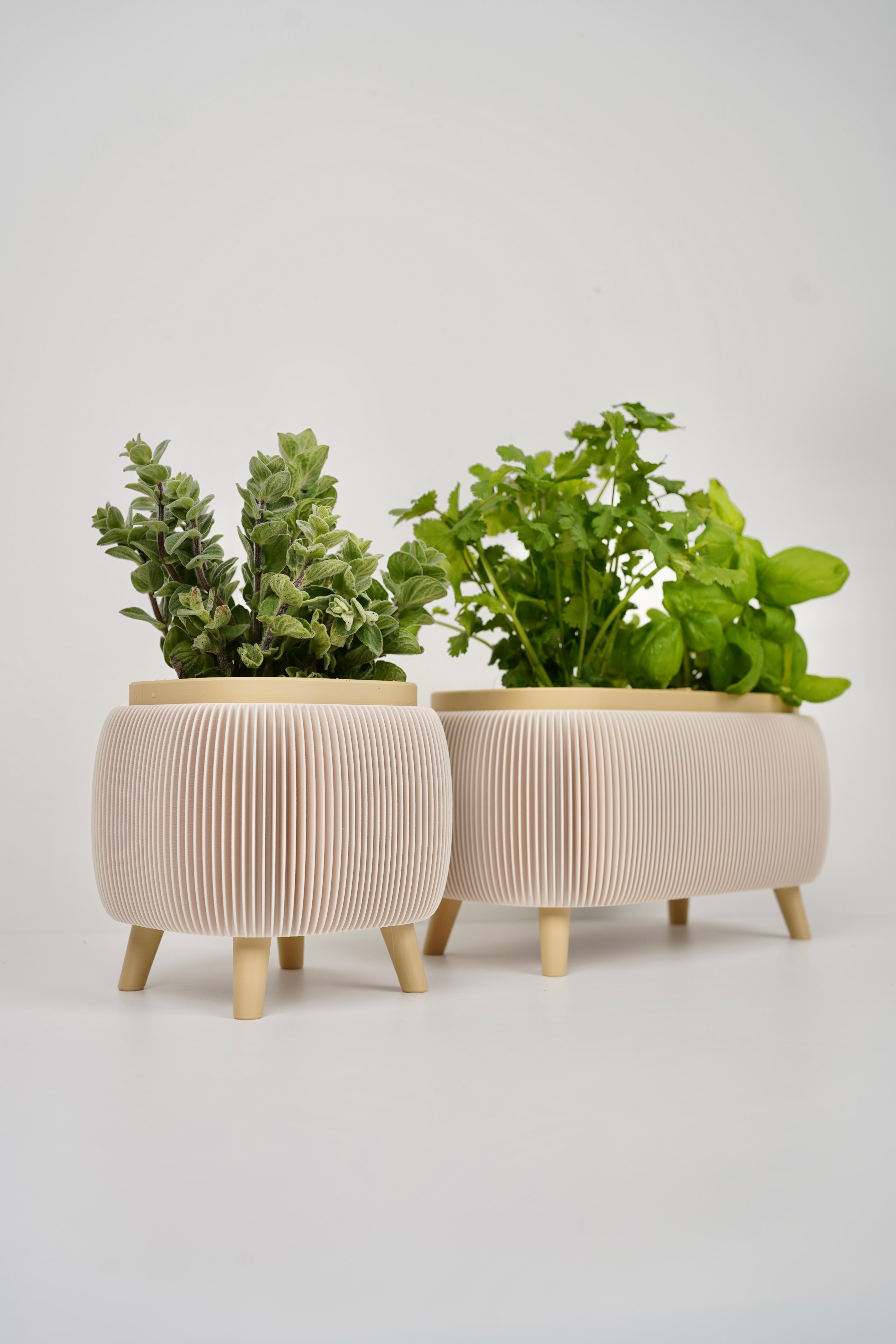 THALOR HERBS planter with legs 3d model