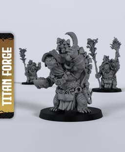 Tortle Male Druid - With Free Dragon - 5e DnD Inspired for RPG and Wargamers 3d model