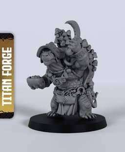 Tortle Male Druid - With Free Dragon - 5e DnD Inspired for RPG and Wargamers 3d model