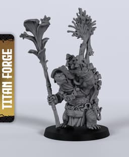 Tortle Male Druid - With Free Dragon - 5e DnD Inspired for RPG and Wargamers 3d model