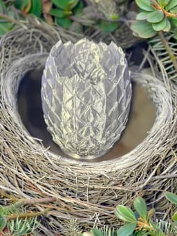 Dragon Egg Bowl with Egg - NO SUPPORTS 3d model