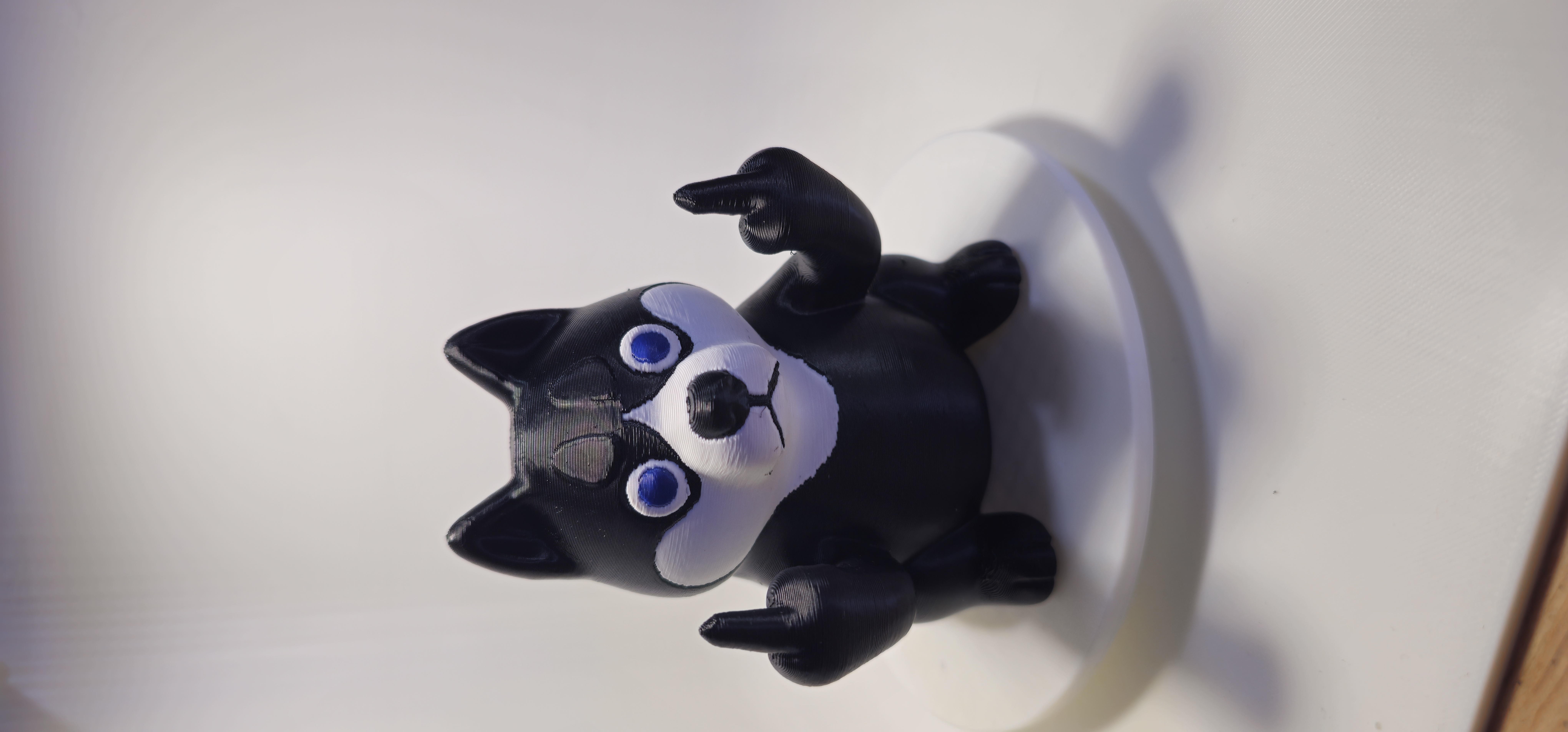 Sassy Husky 3d model